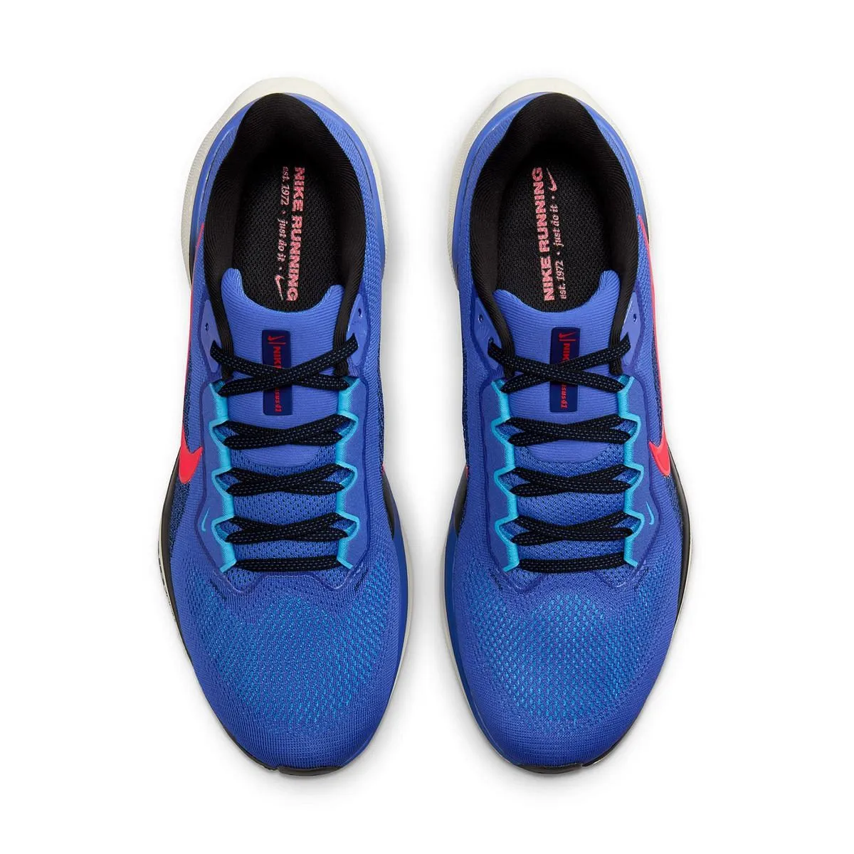      NIKE AIR ZOOM PEGASUS 41  