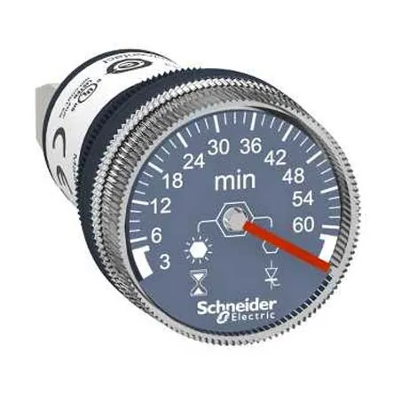 Timer Relay Schneider Electric, intervallo 3 → 60min, A pannello